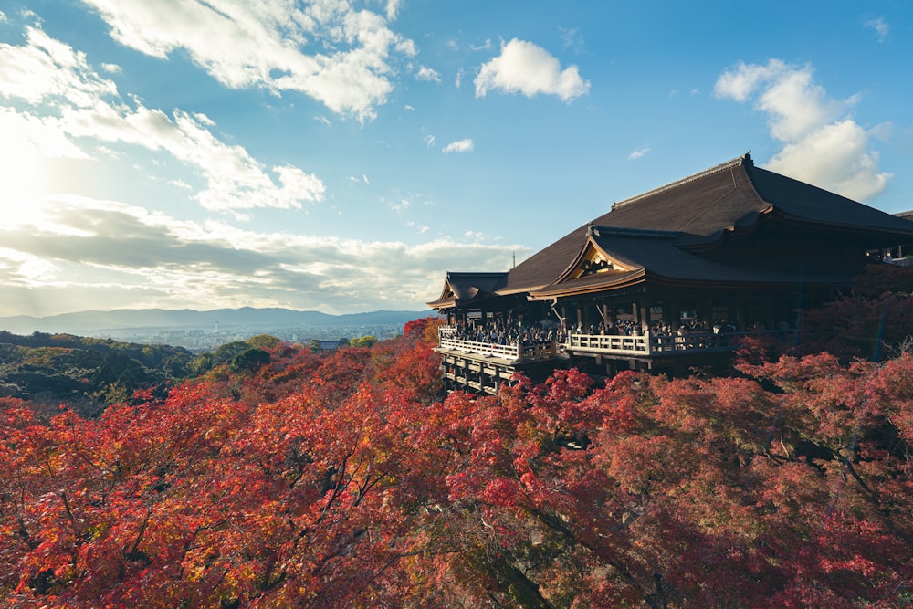 a building on top of a hill surrounded by trees