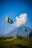 two flags flying in front of a mountain