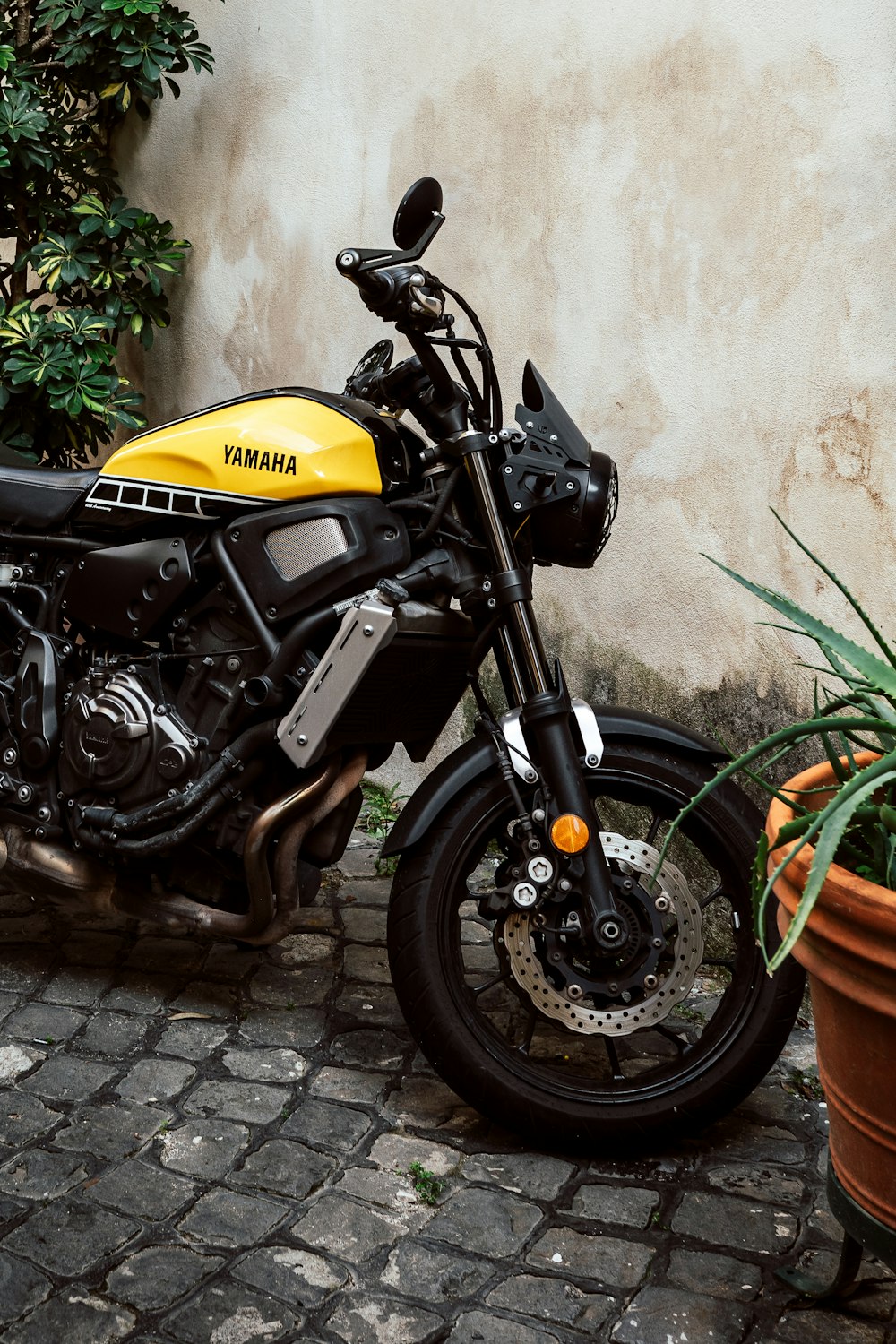 a yellow and black motorcycle parked next to a potted plant