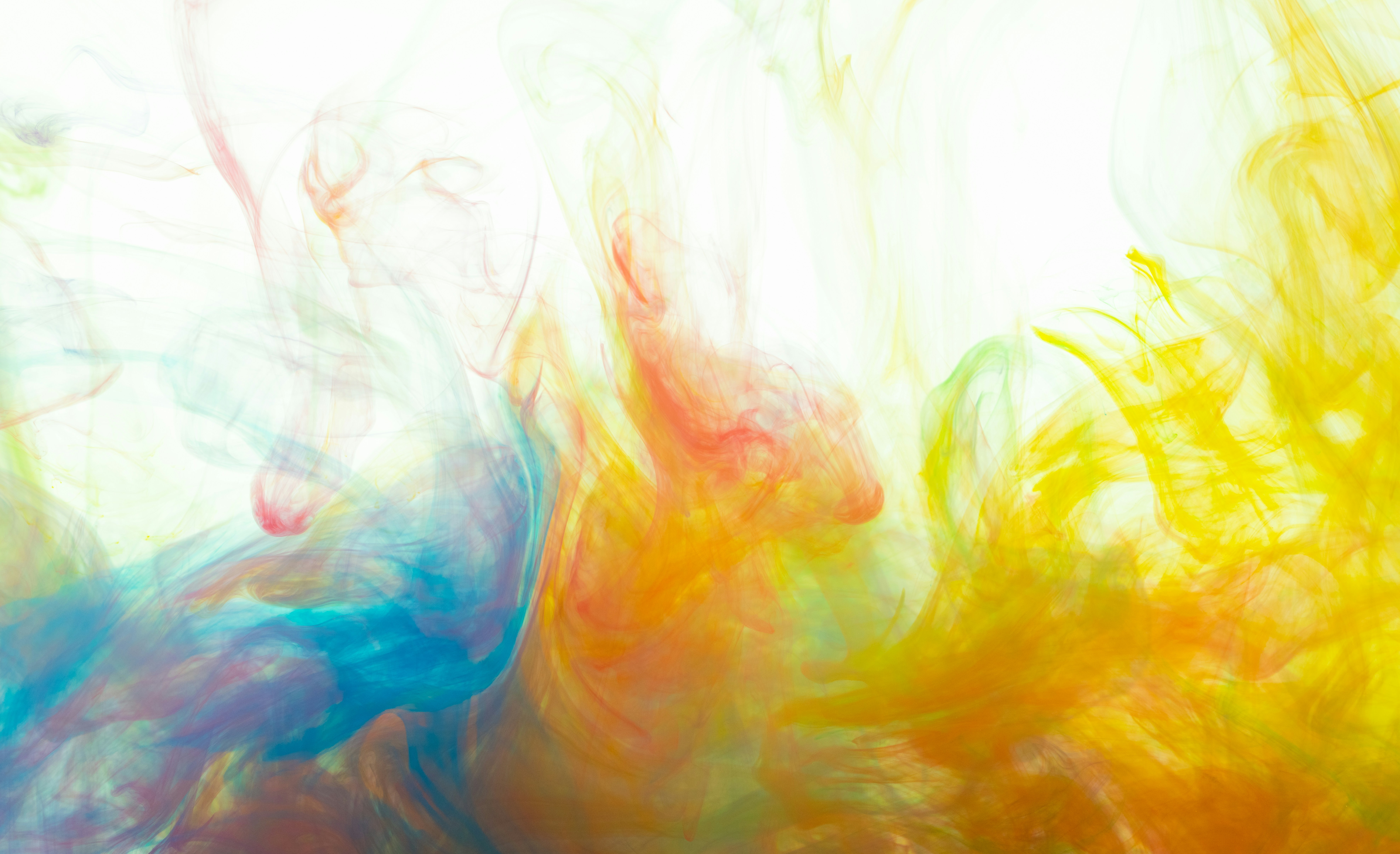 Photo by enginakyurt