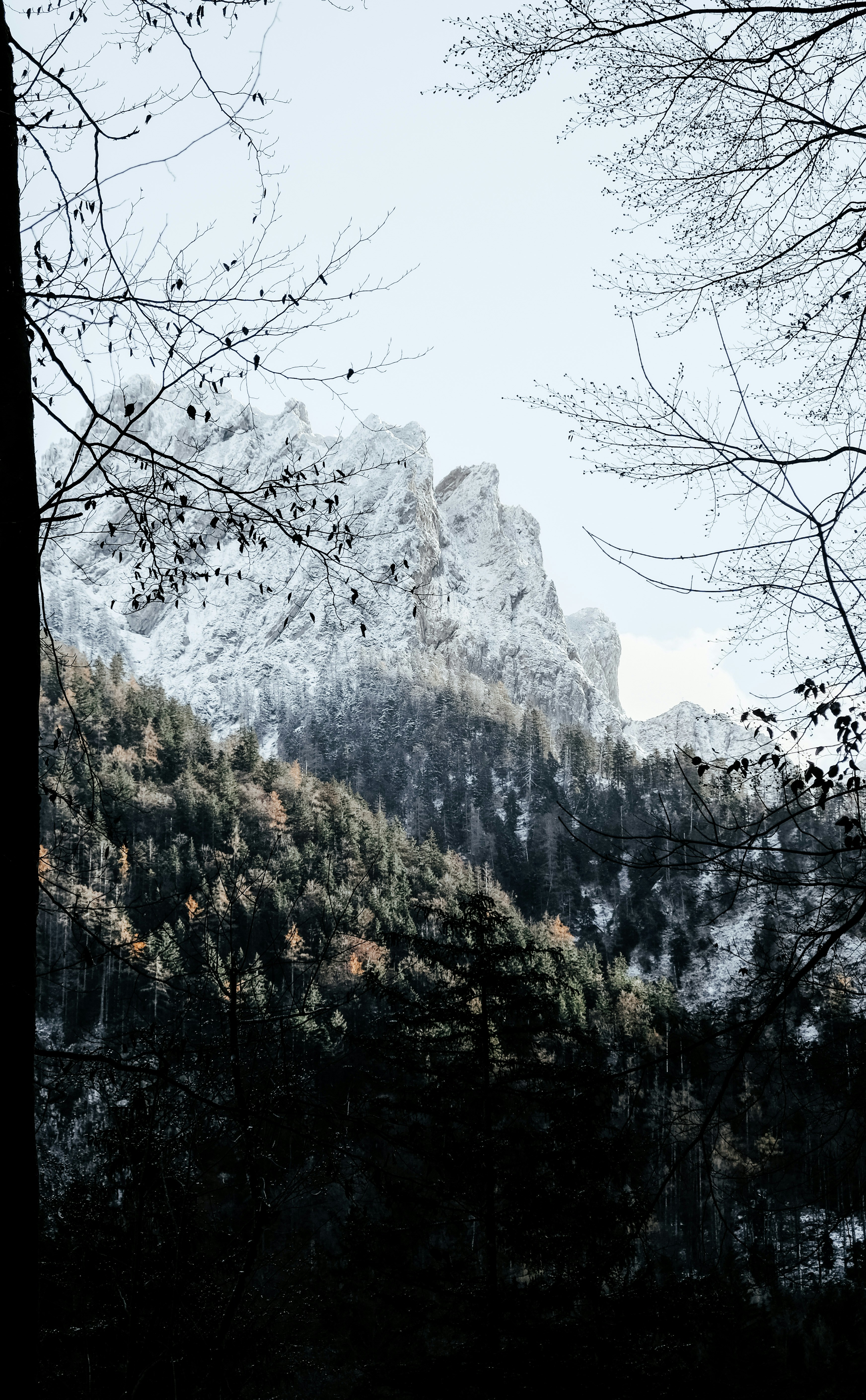 Photo by medien_werkstatt