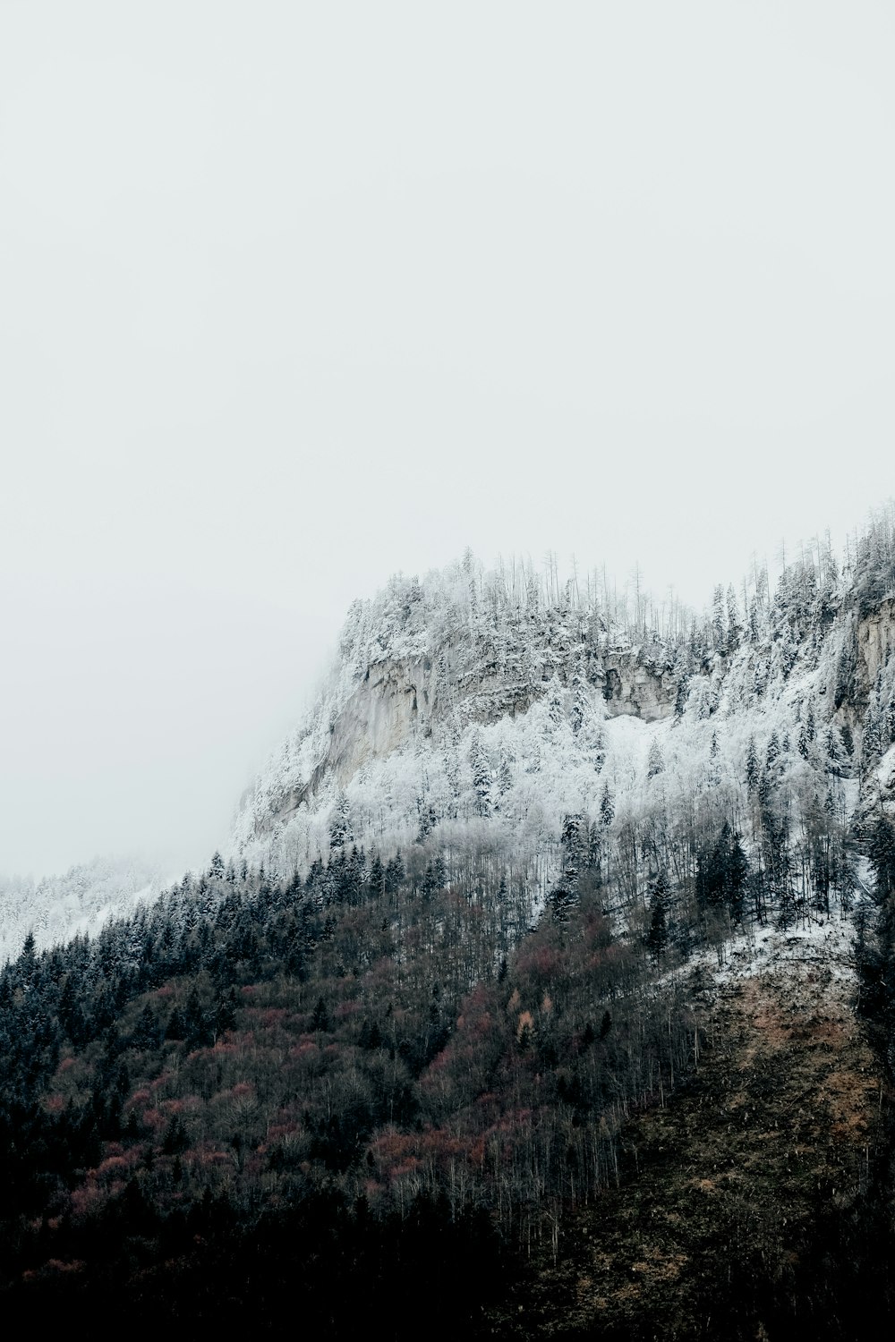 a mountain covered in snow with trees on the side