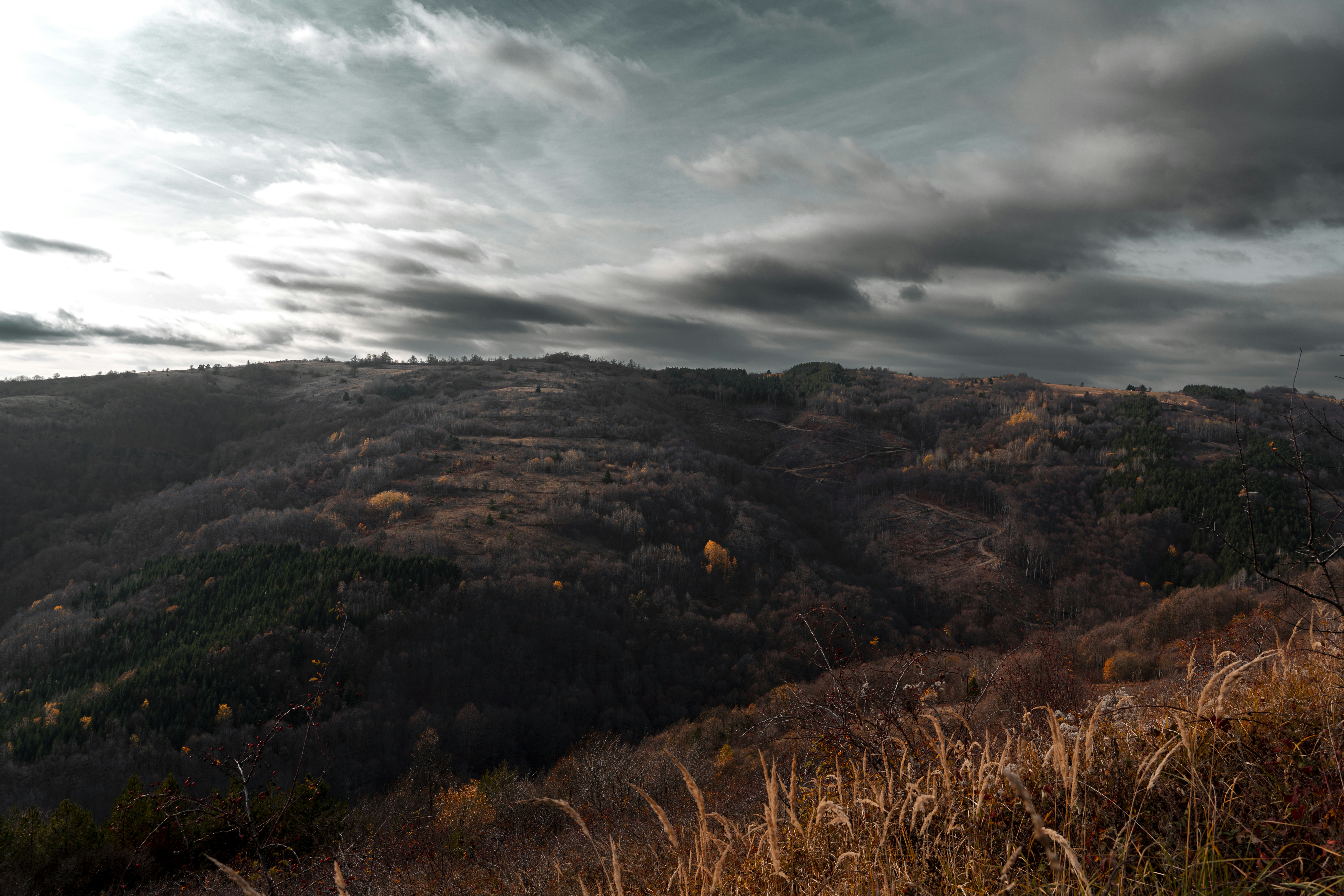 Photo by djordjevukojicic