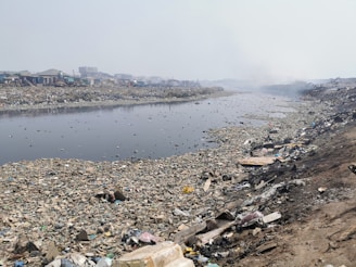 a large amount of trash is on the shore of a river