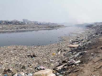 Urban Plants Are Absorbing Microplastics — Here’s What That Means for You