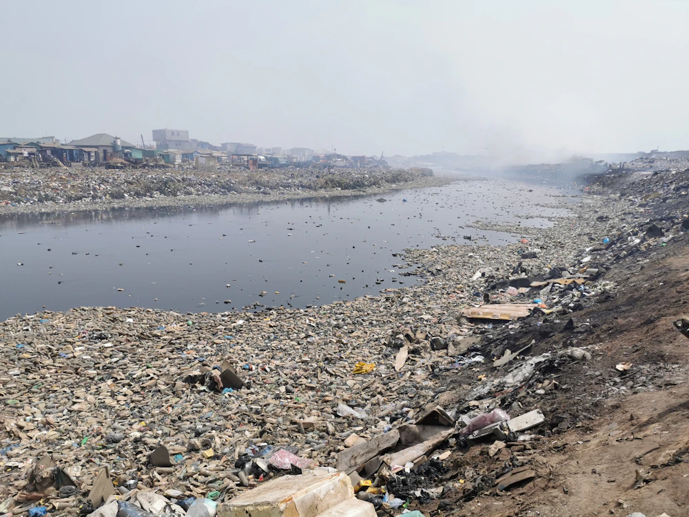 Plastic carry bags and litter accumulated on a riverbank after escaping collection