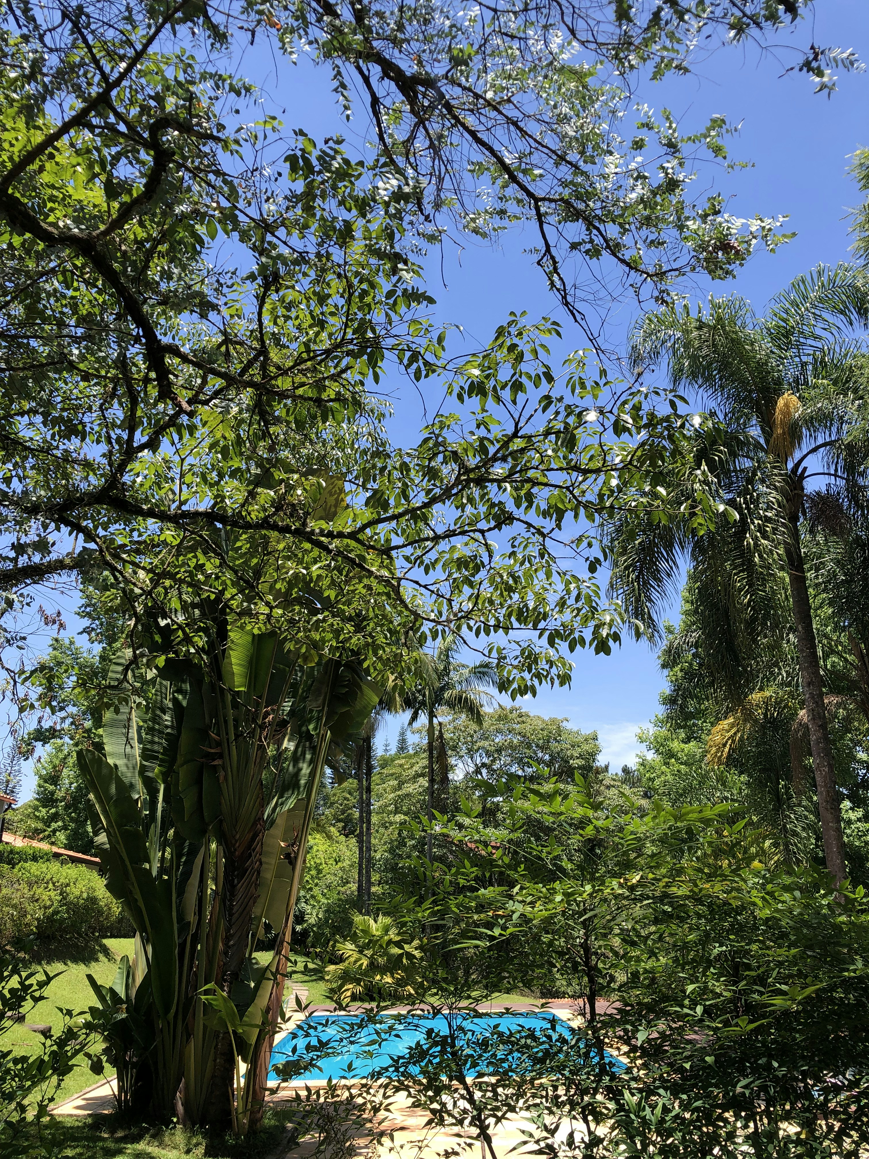 Proteção para Jacuzzi