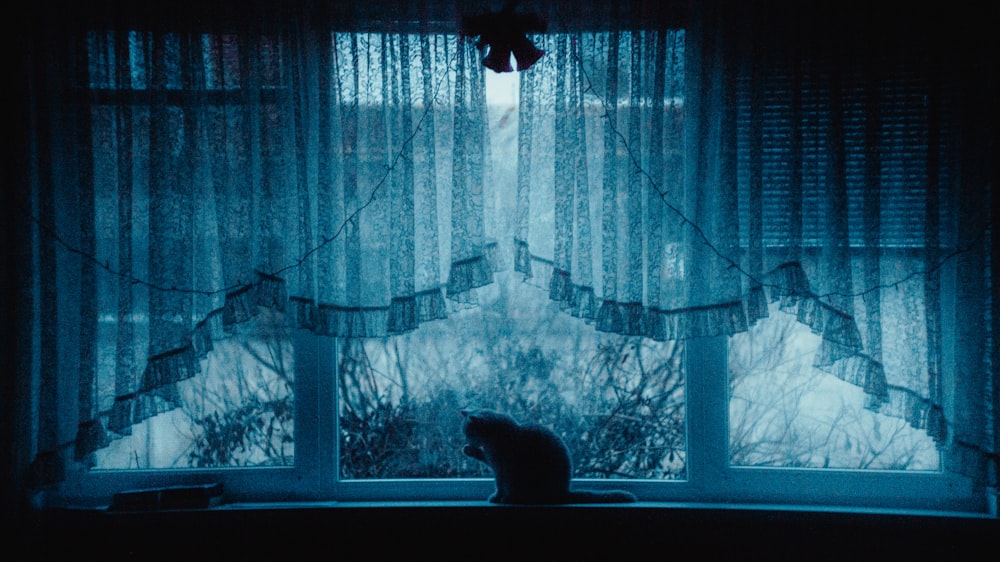 a cat sitting on a window sill in front of a curtain