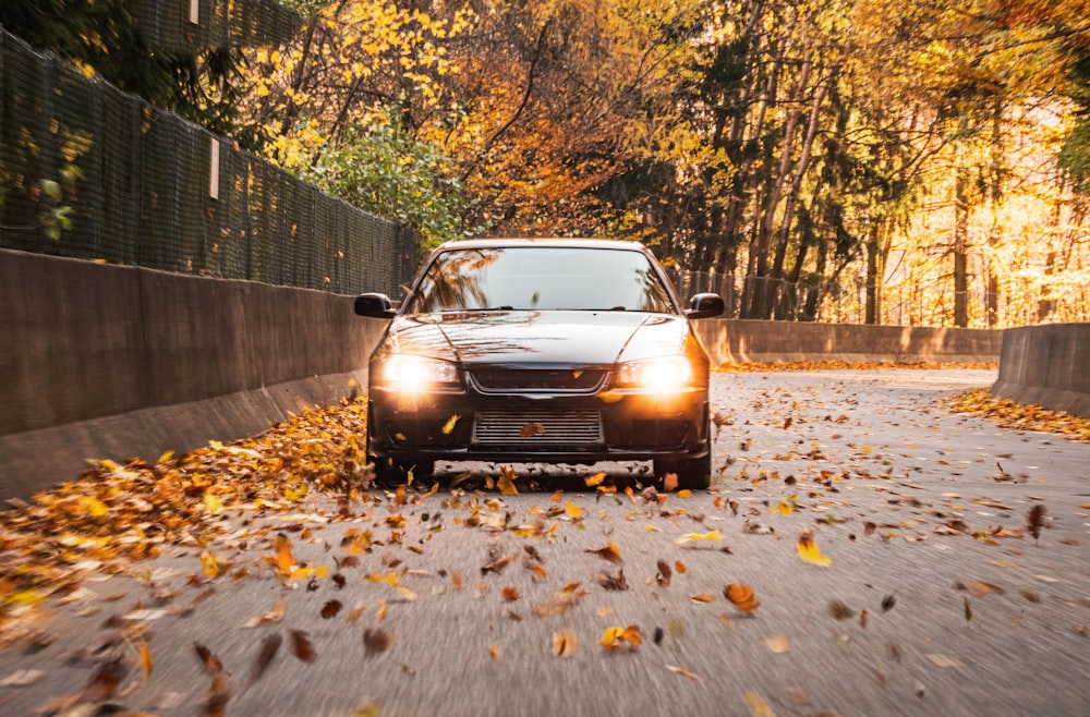 a car driving down a road with lots of leaves on the ground