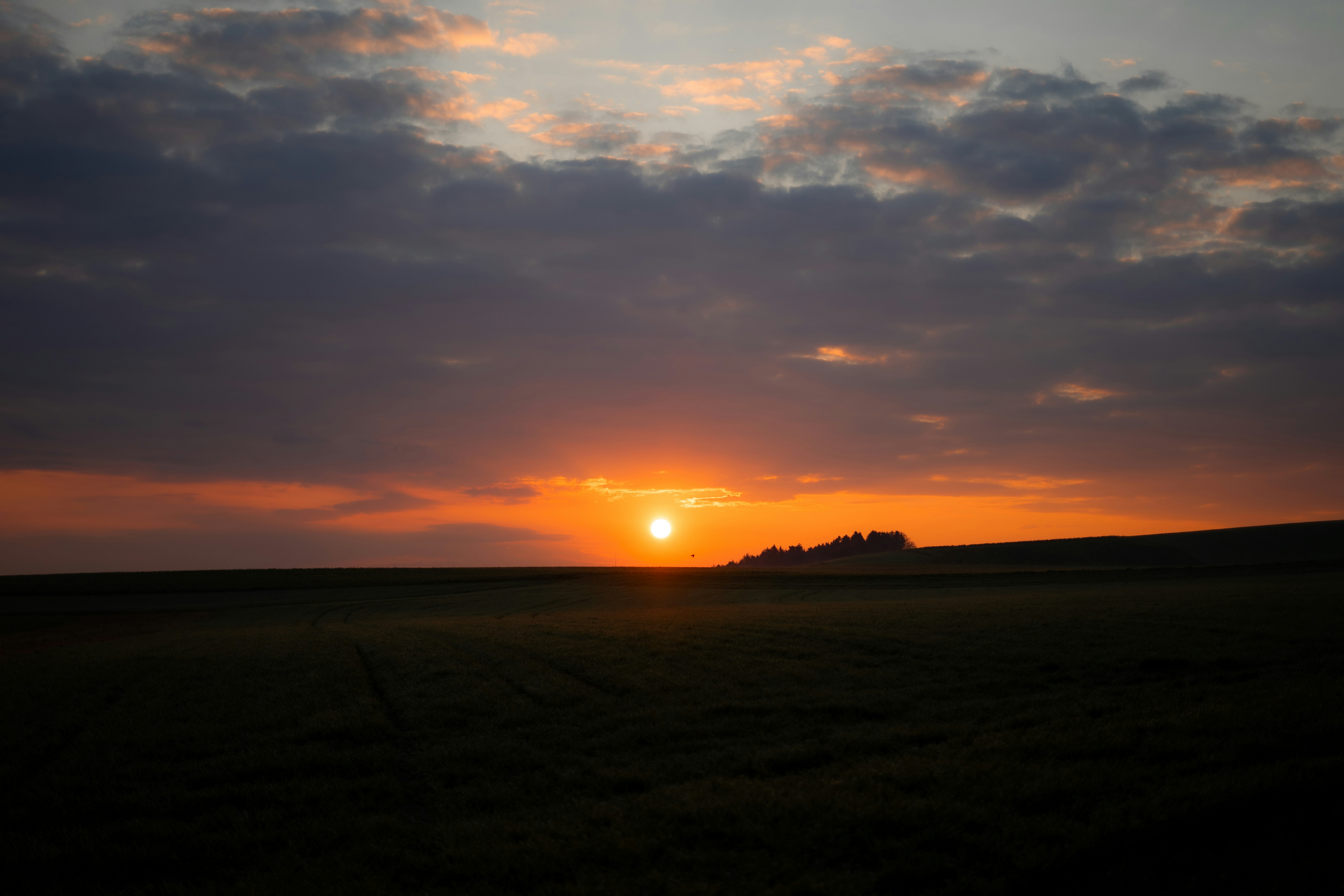 Photo by benaja_photos