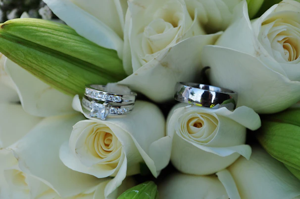 Close-up of the wedding rings resting on a bed of red roses and green leaves.