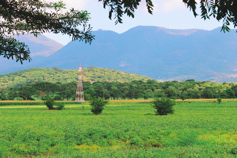 un campo con una torre al centro