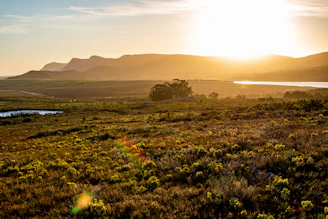 the sun is setting over a field with mountains in the background