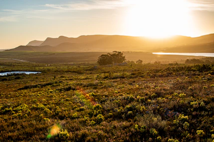 the sun is setting over a field with mountains in the background