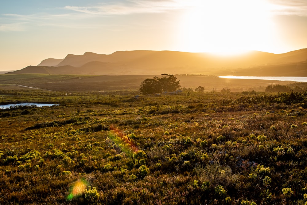 the sun is setting over a field with mountains in the background