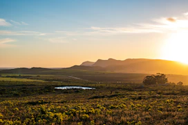 the sun is setting over a grassy field