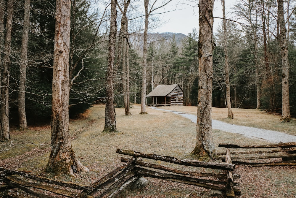 a log cabin in the woods with a path leading to it