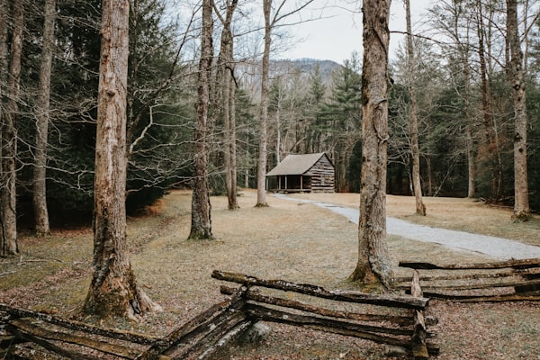 Log cabin in the woods with a footpath — Michael Chambers on Unsplash