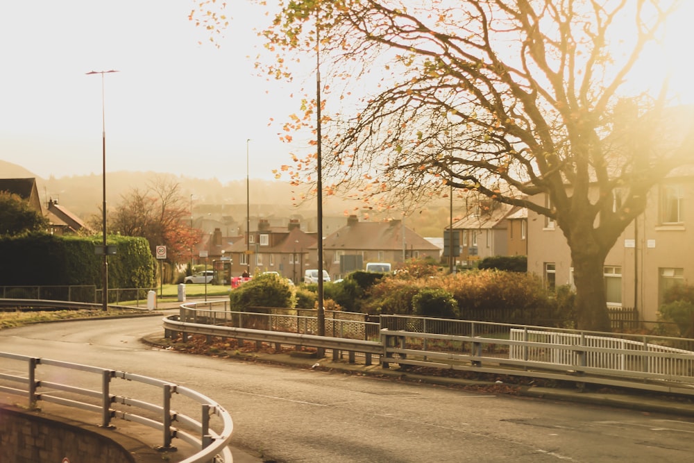 a street with a fence and trees on both sides of it