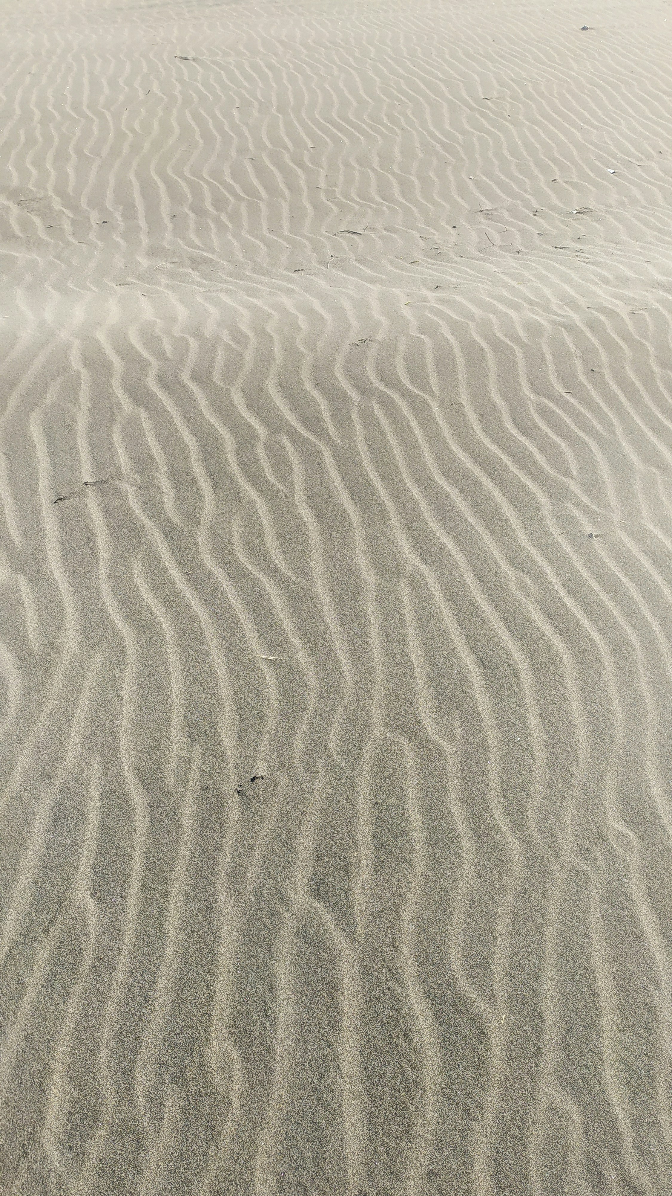 Photo by febrimillenia