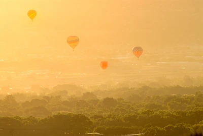Drone shot capturing a fleet of emerald and gold balloons soaring above the Nile River’s winding curves.