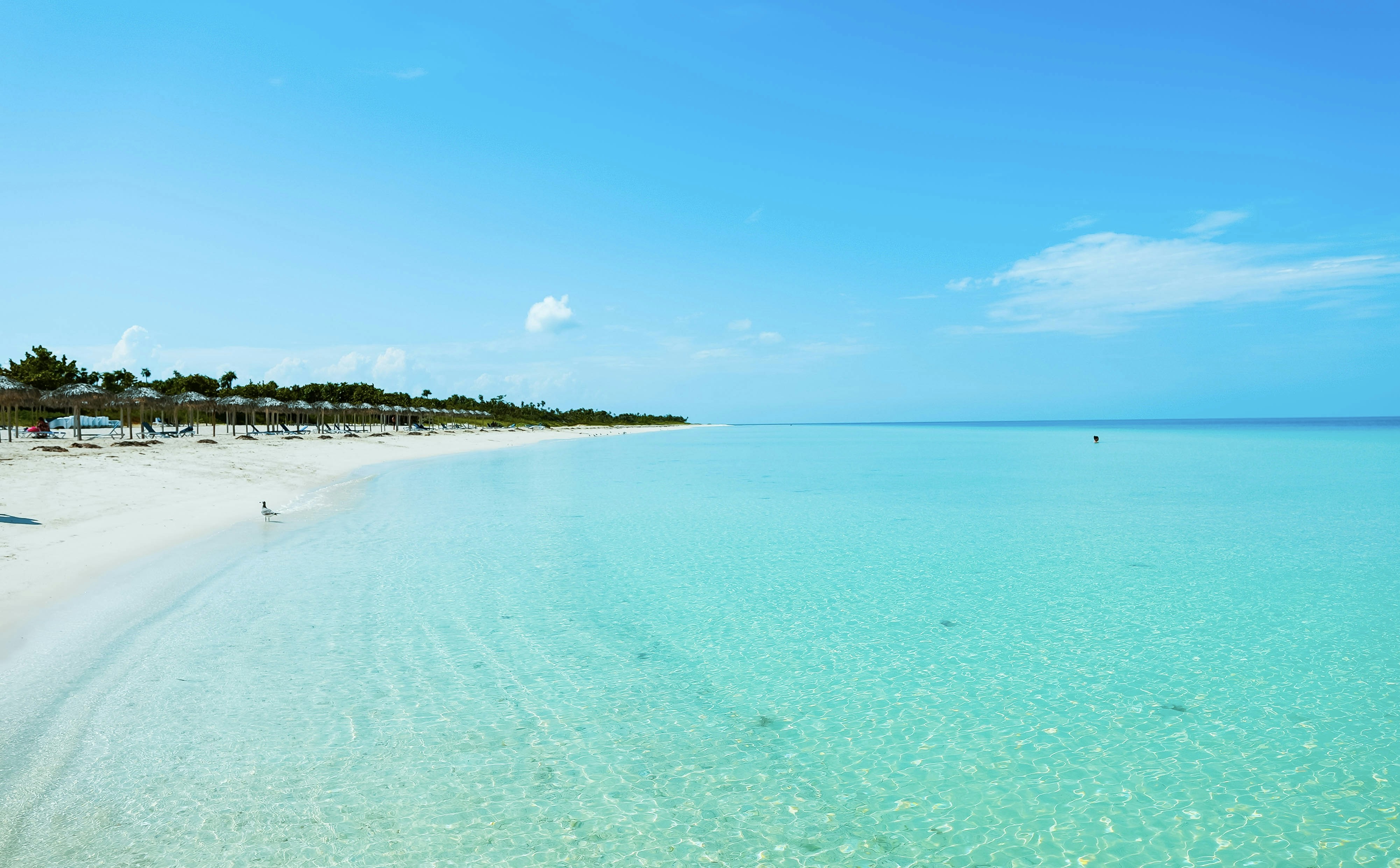 Photo by strvngefilmss