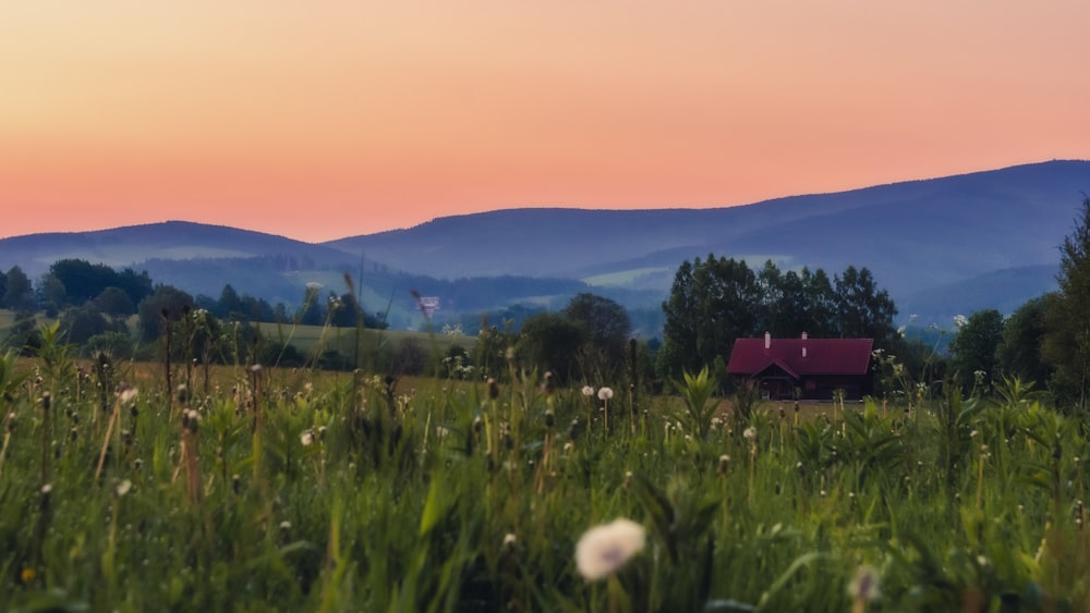 a house in a field with mountains in the background