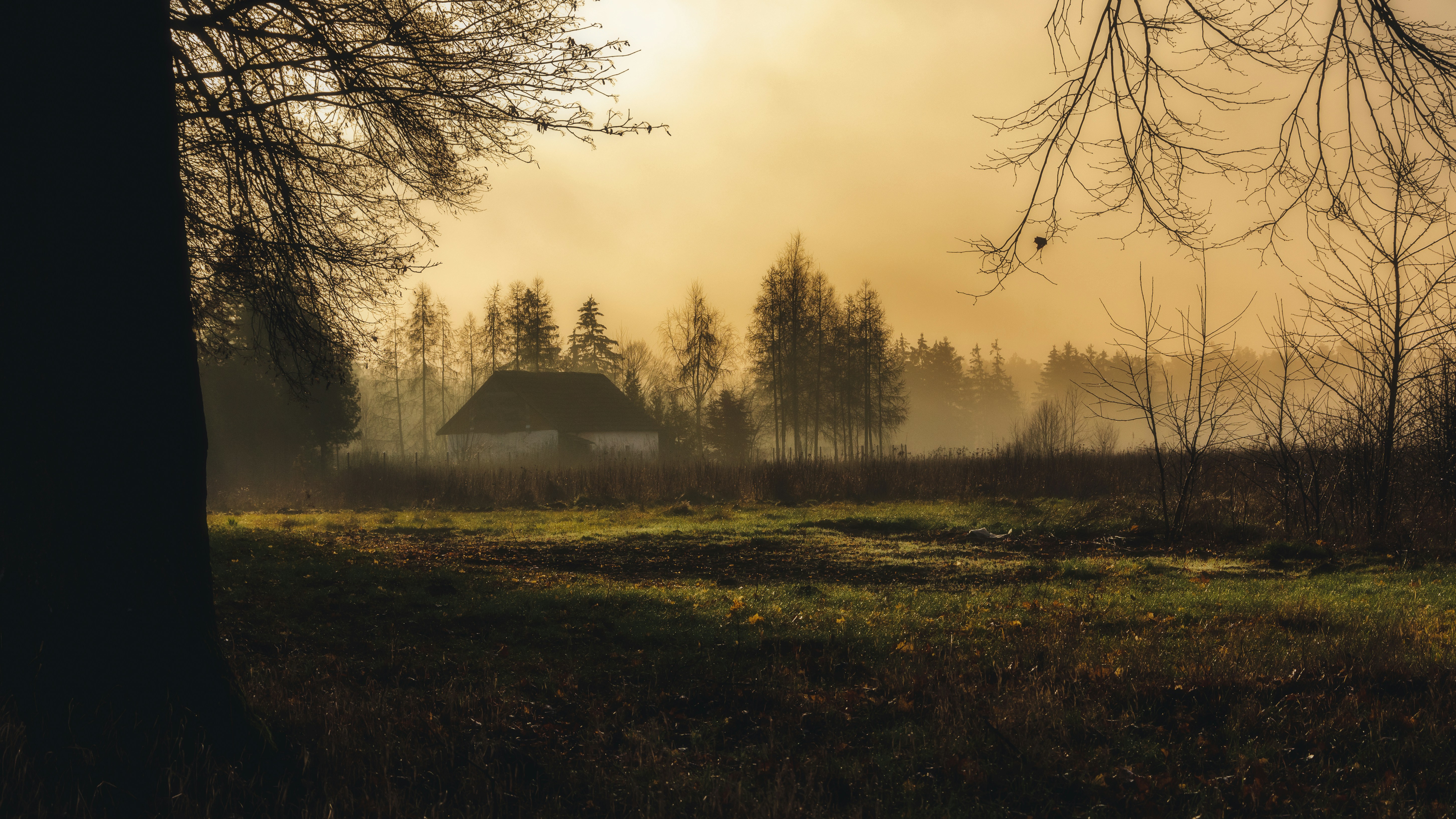 a foggy field with a house in the distance