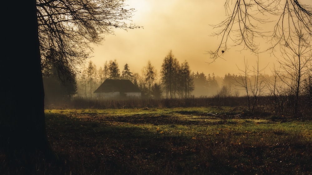 a foggy field with a house in the distance
