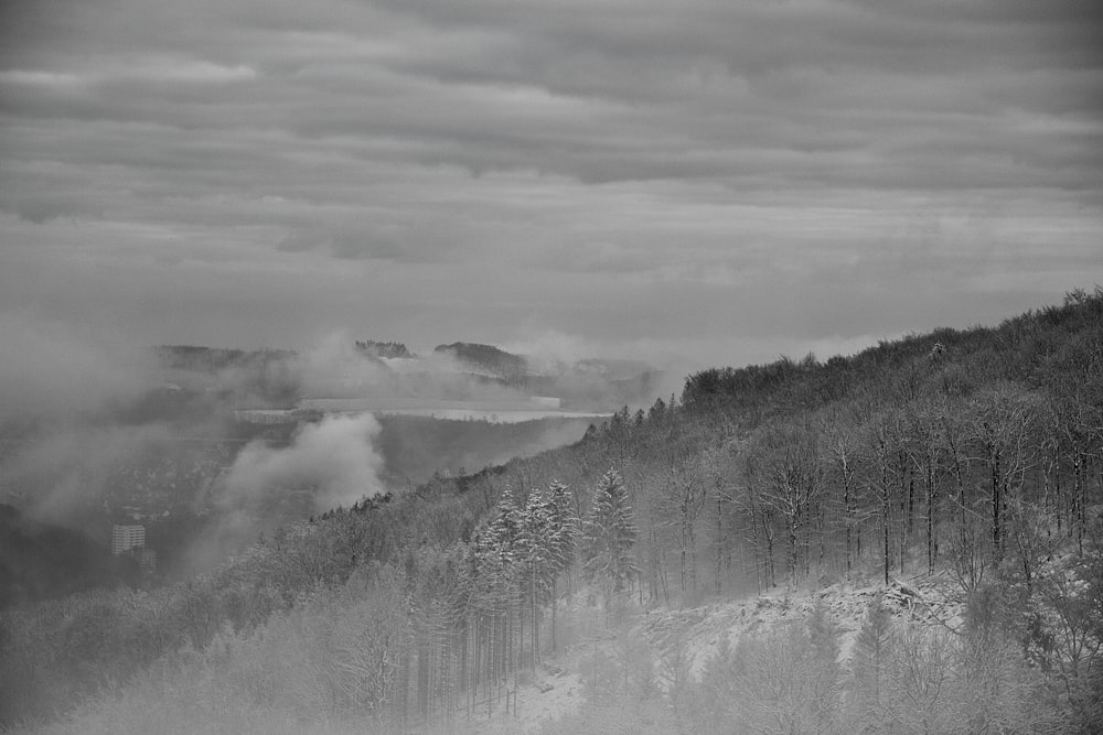 a black and white photo of a snowy mountain