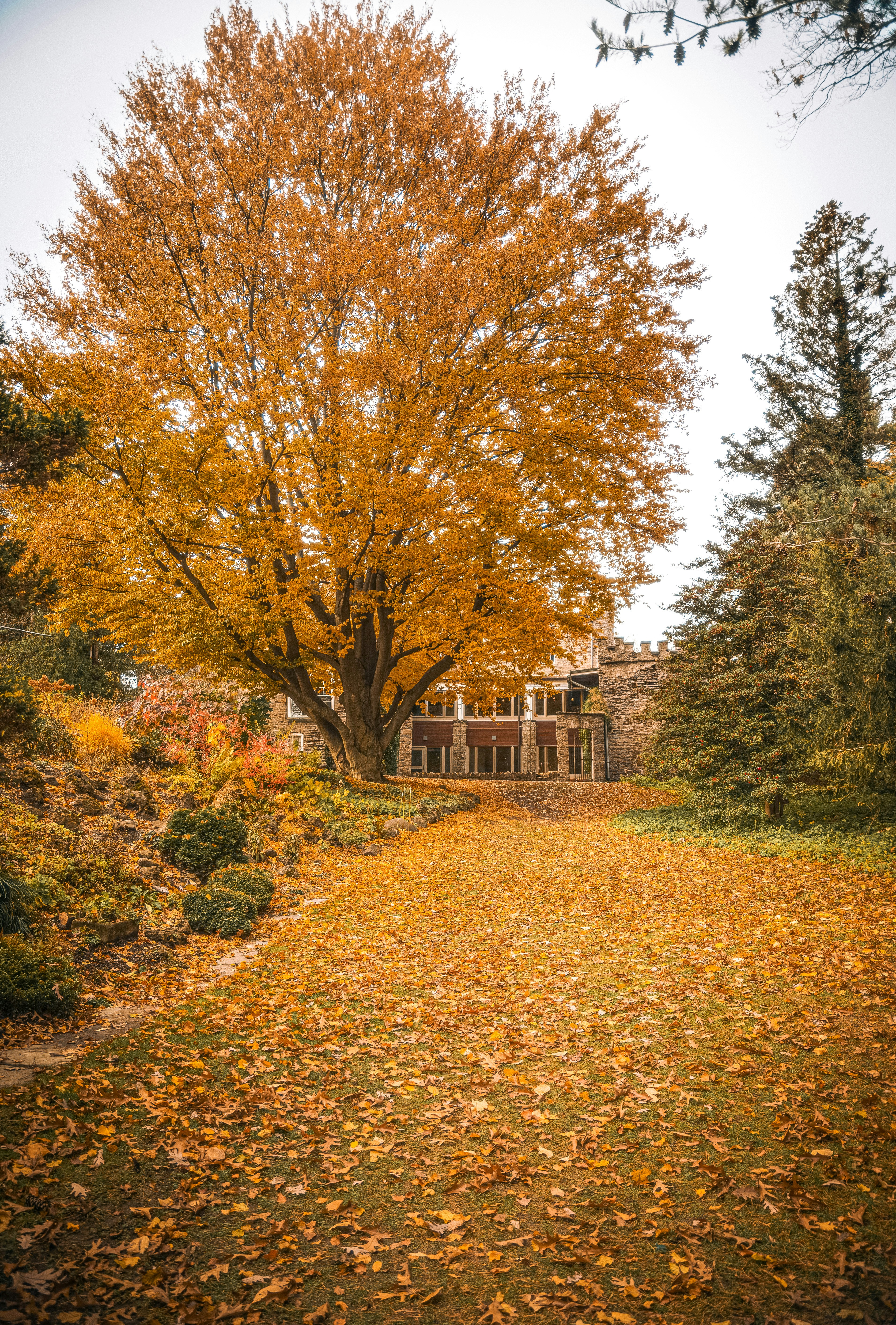 Photo by lokeshpaduchuri