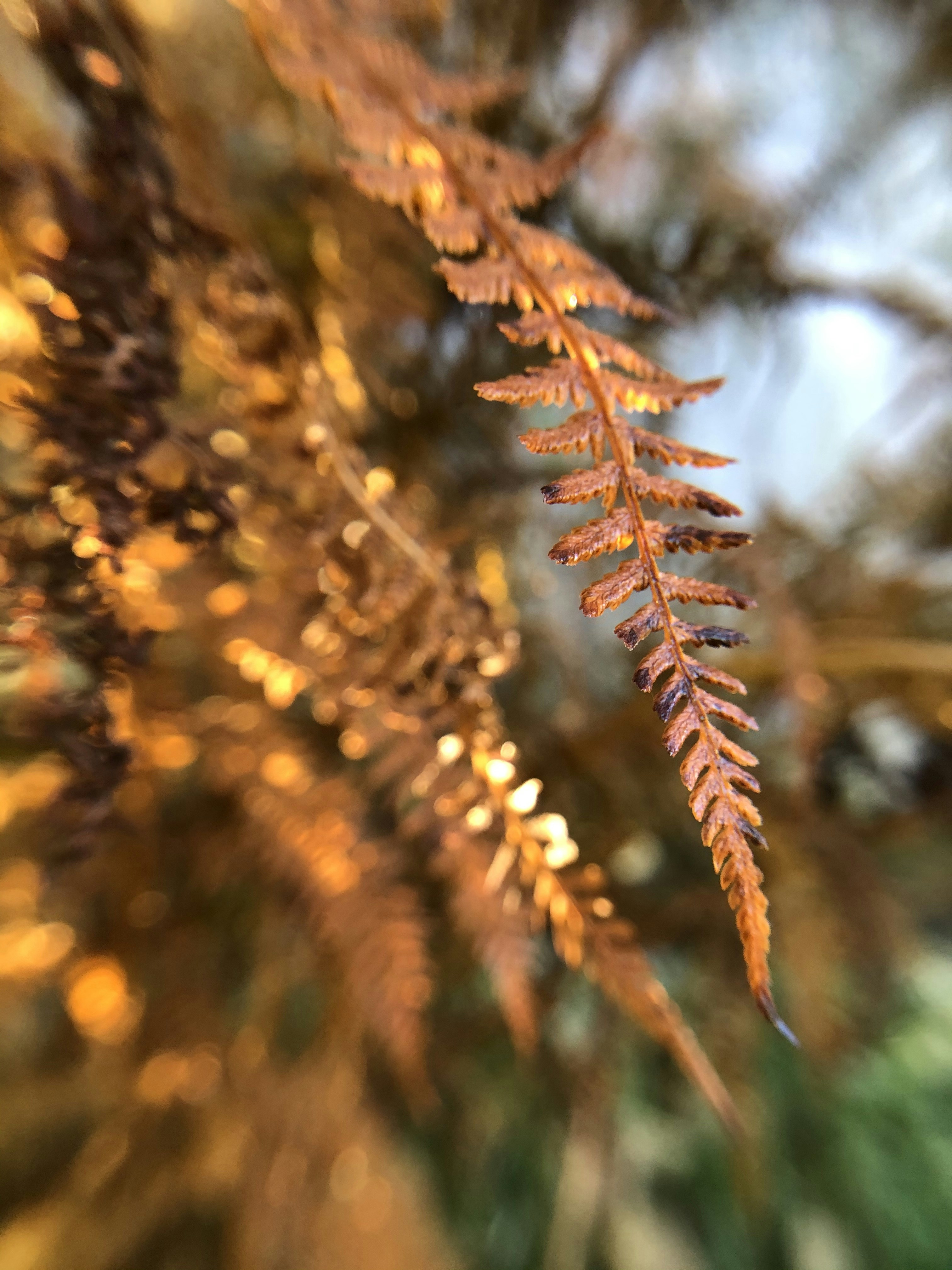 Photo by inna_lobacheva