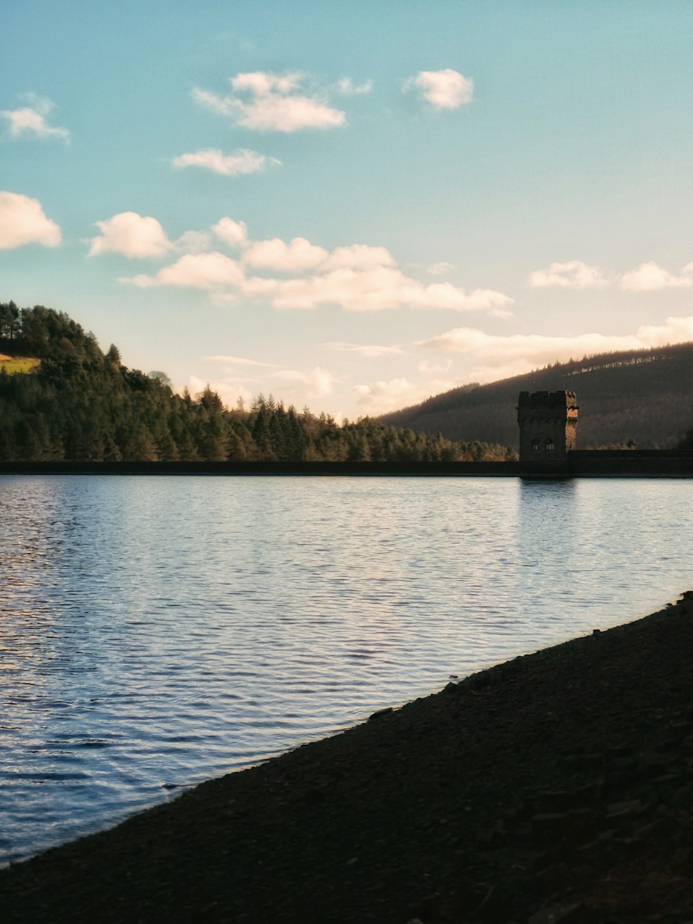 un grande specchio d'acqua circondato da una foresta