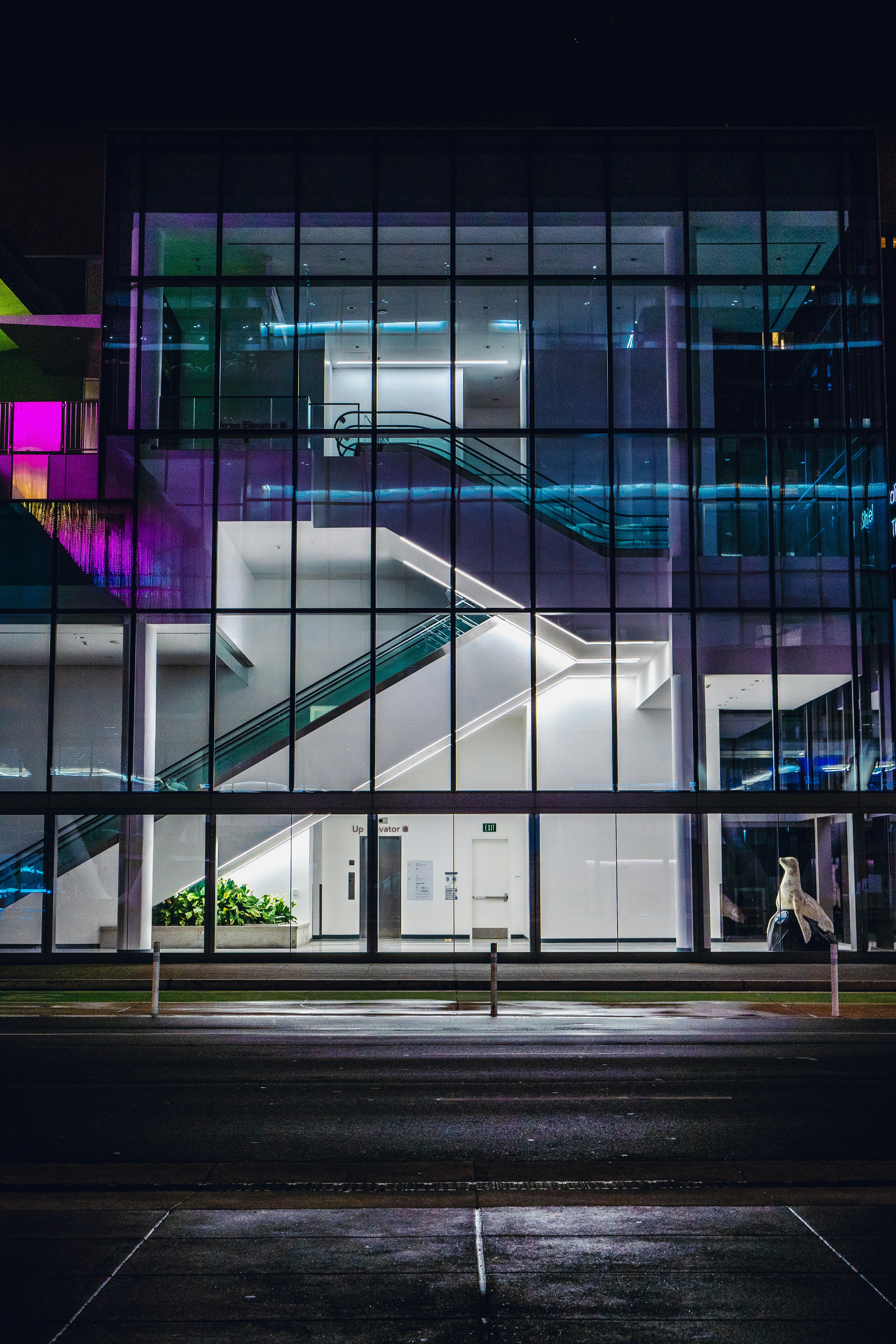 Photo by rafael_as_martins