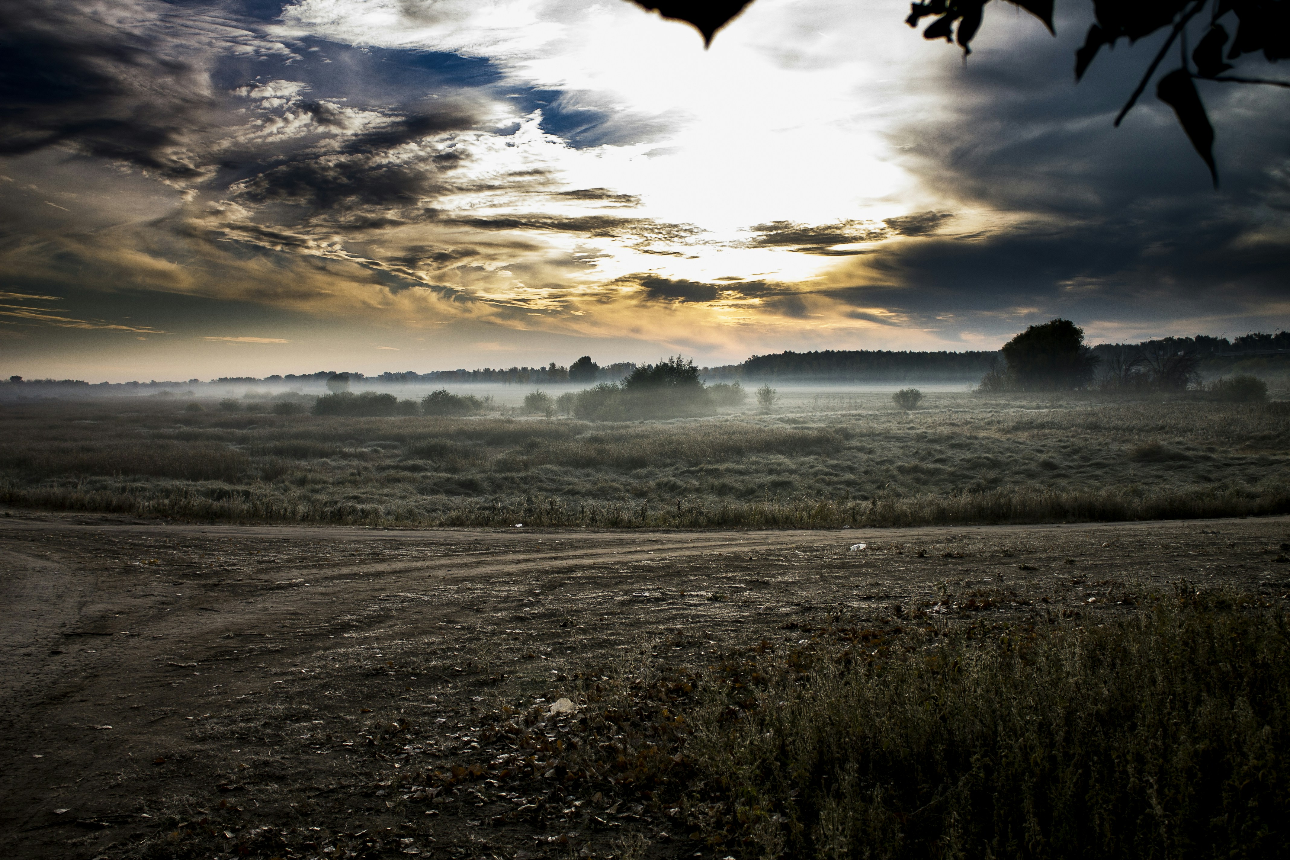 Photo by mr_papricka