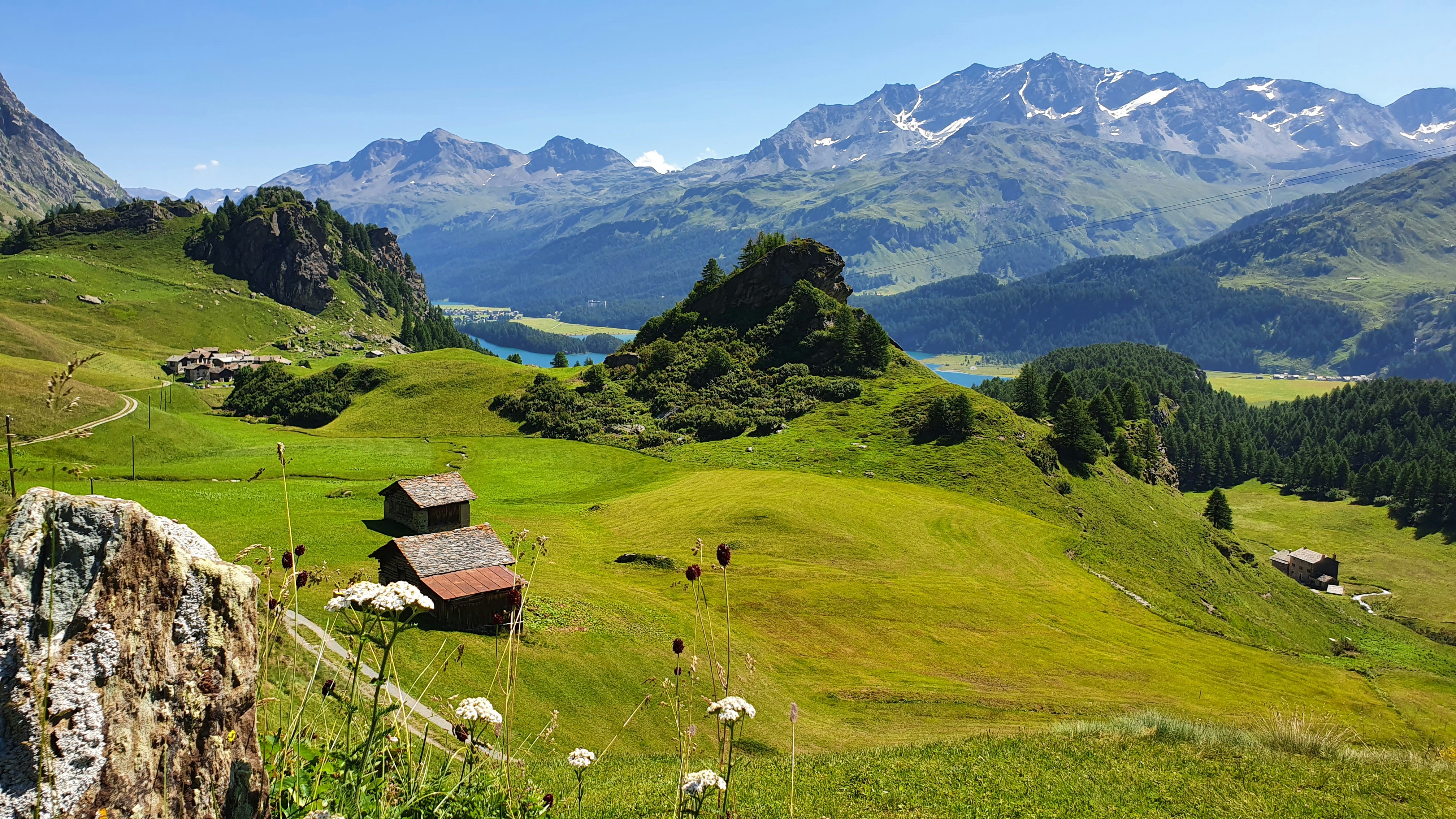 Photo by michelstock