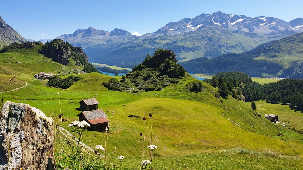 a green valley with mountains in the background