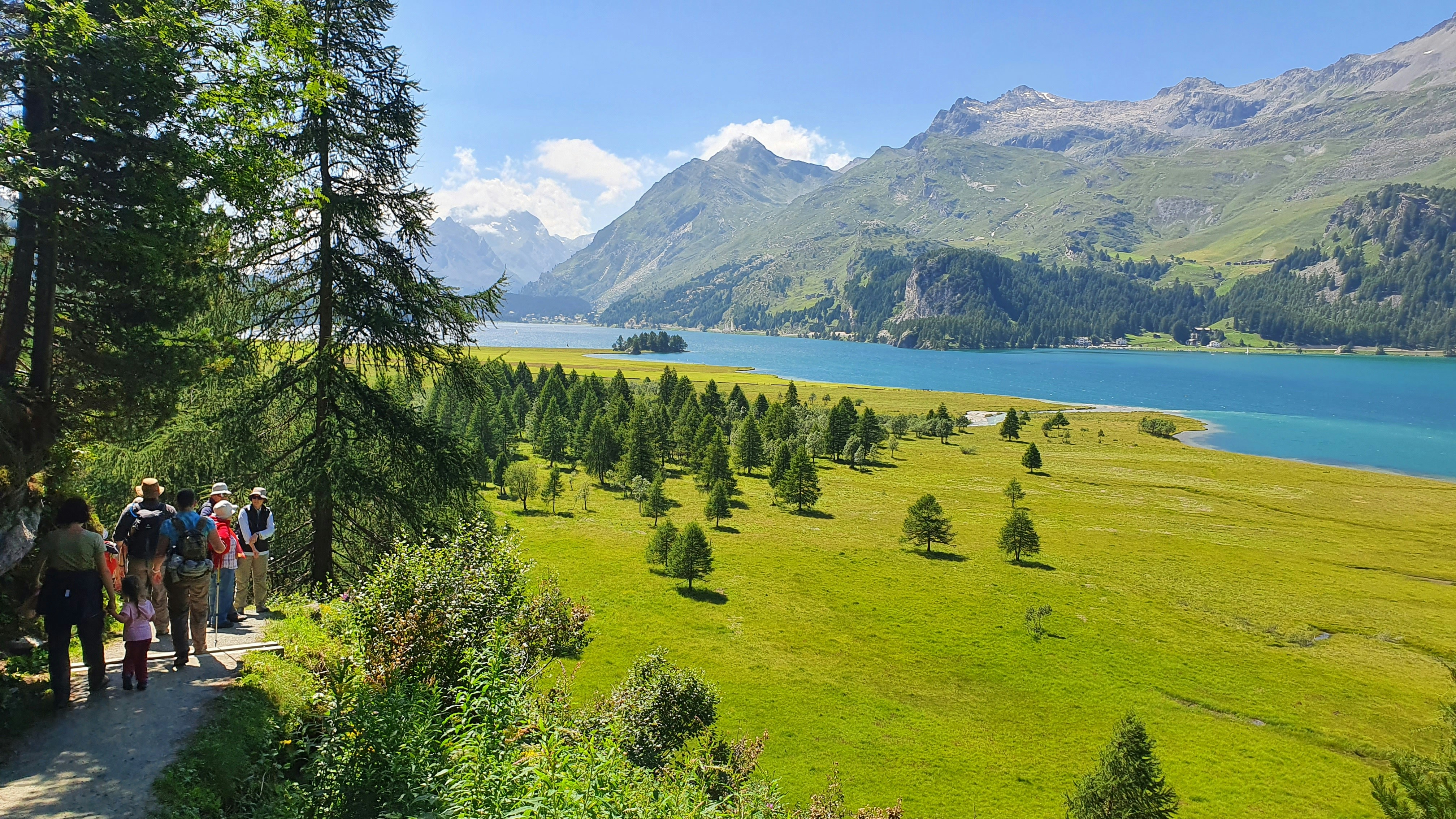 Photo by michelstock