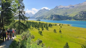 Happy travelers sharing their experiences with a scenic backdrop