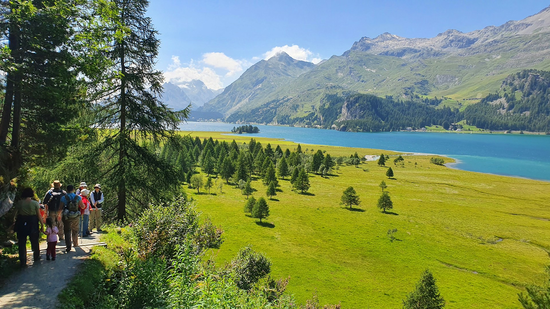 A vibrant photo of a group enjoying a scenic hiking trail surrounded by lush greenery and clear blue skies.
