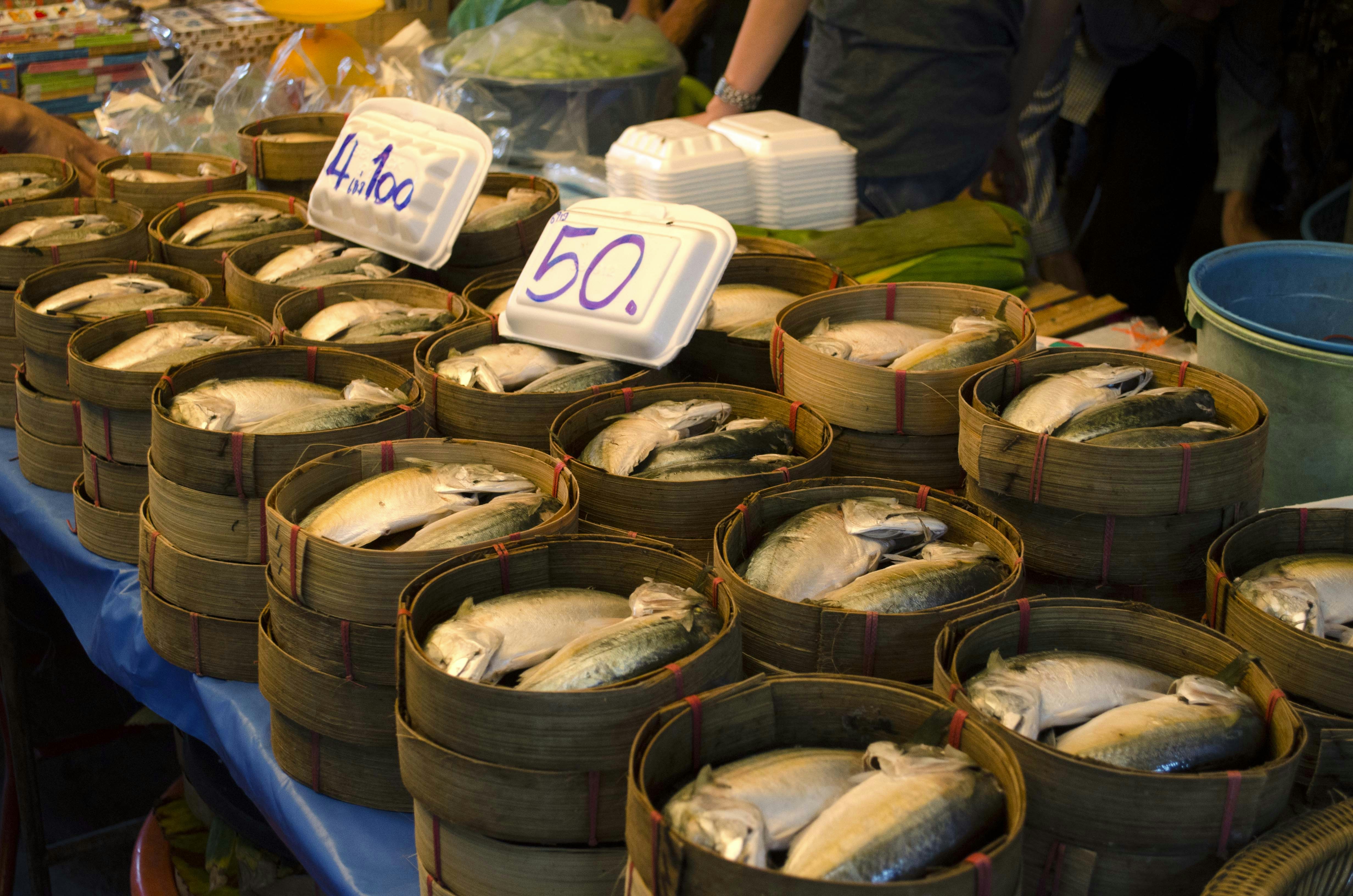 양평빙송어축제 낚시 용품 준비물 및 초보자도 송어 잘 잡는 채비 방법 가이드 이미지2