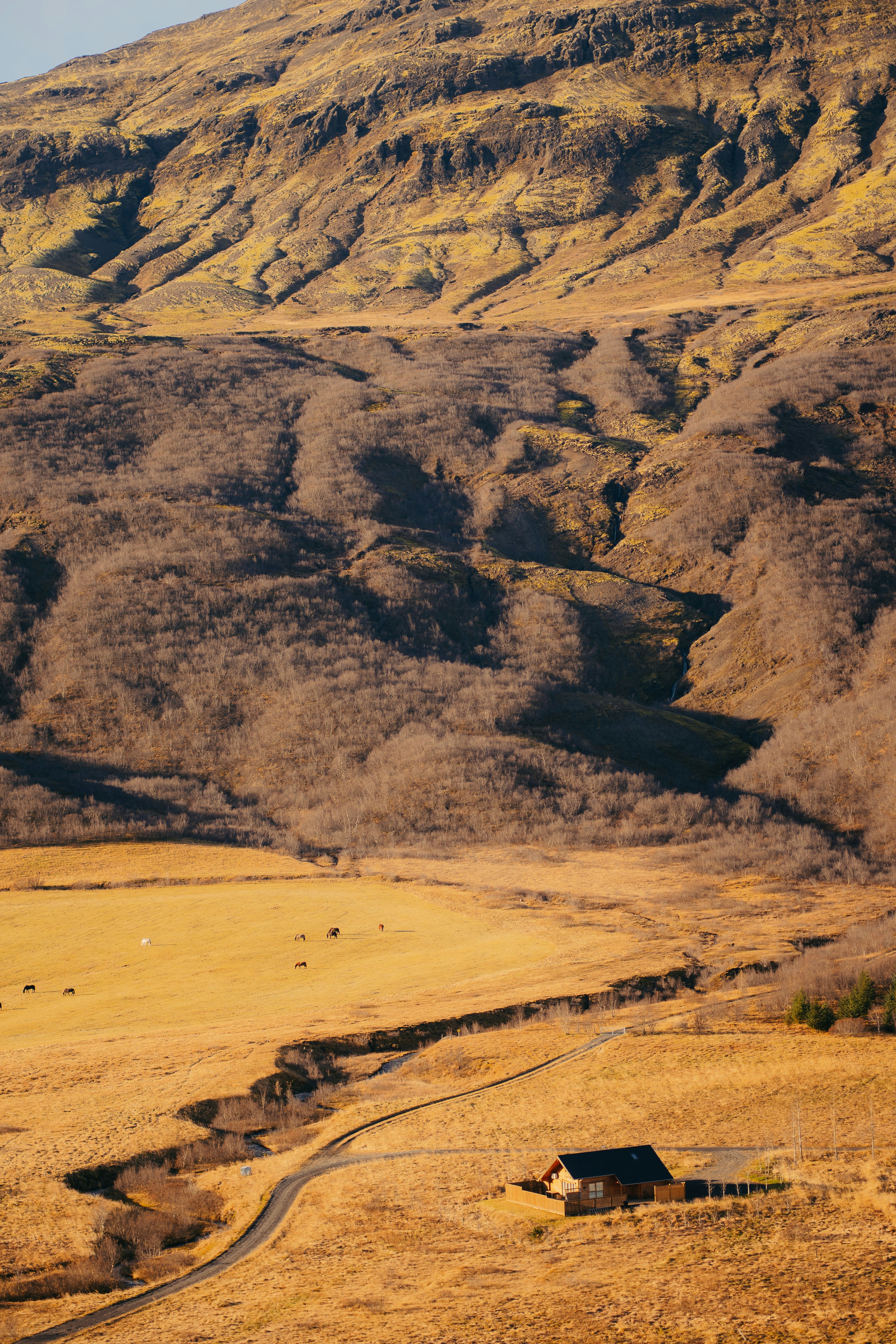 Photo by real_jansen