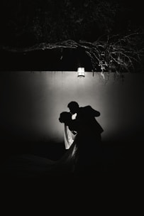 An elegant, shadowed silhouette of a couple sharing a quiet, tender moment in a softly lit room.