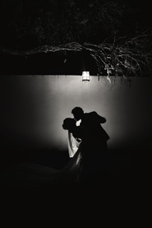 A silhouetted couple is depicted sharing a romantic moment under a soft light, with a tree branch extending overhead. The scene conveys an intimate and serene atmosphere.