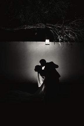 An elegant silhouette of a couple sharing a quiet, intimate moment under soft, moody lighting.