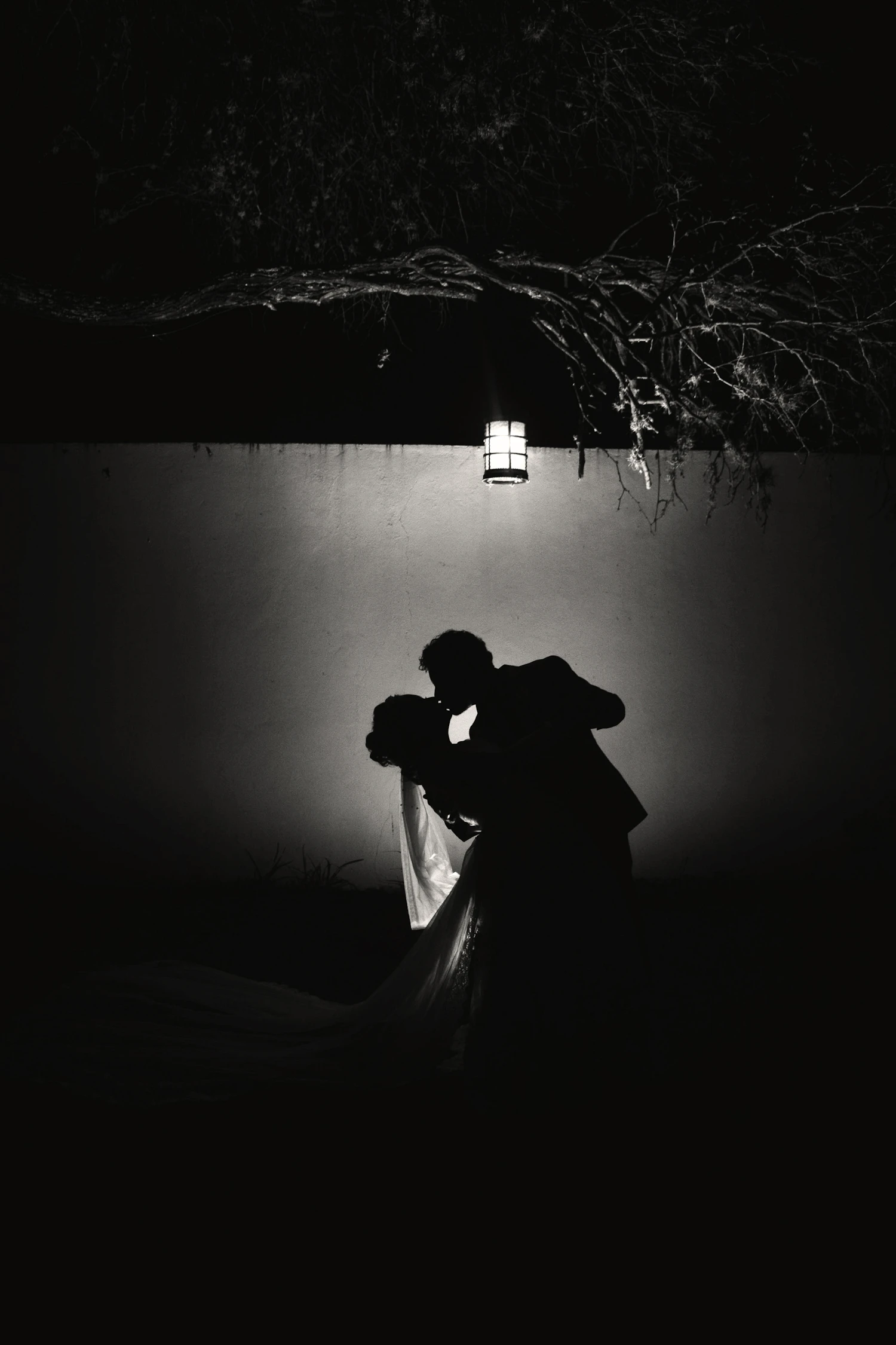 A couple silhouetted against a single lamp at night under a tree
