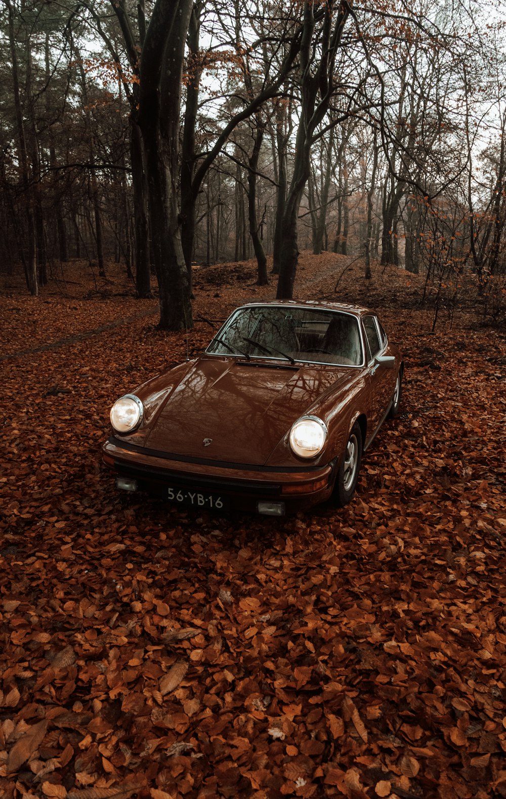 a car parked in the middle of a leaf covered forest