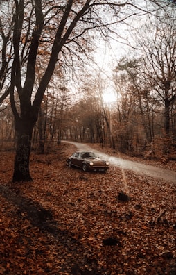 A classic car winding through a colorful autumn forest road with leaves scattered on the ground.