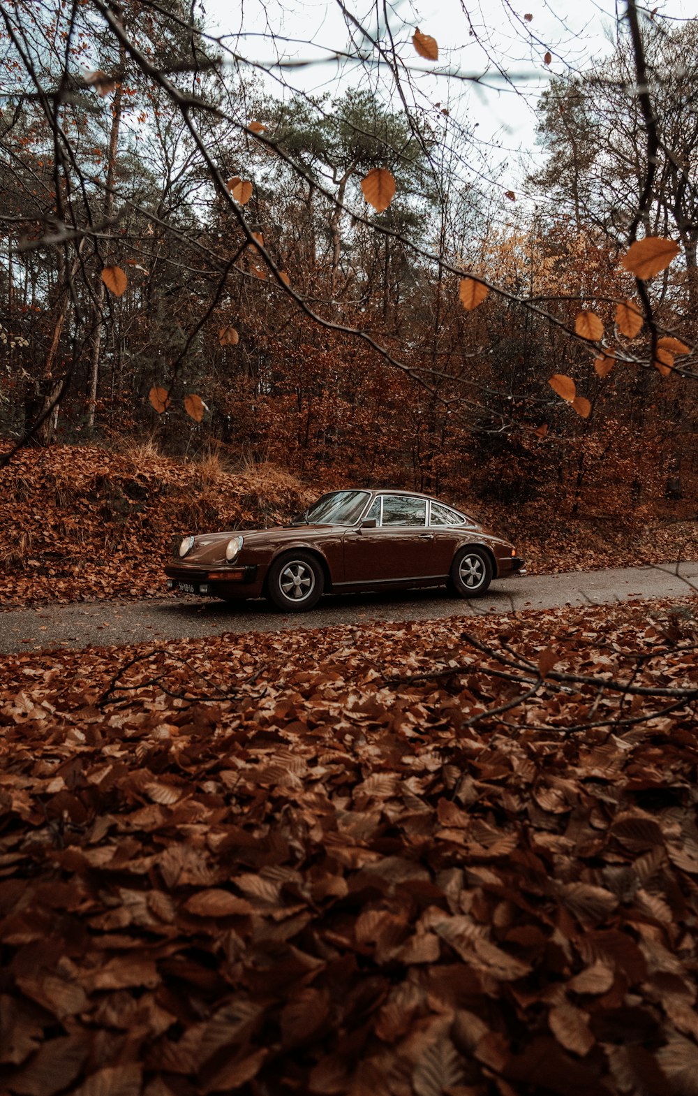 a car is parked on a leaf covered road