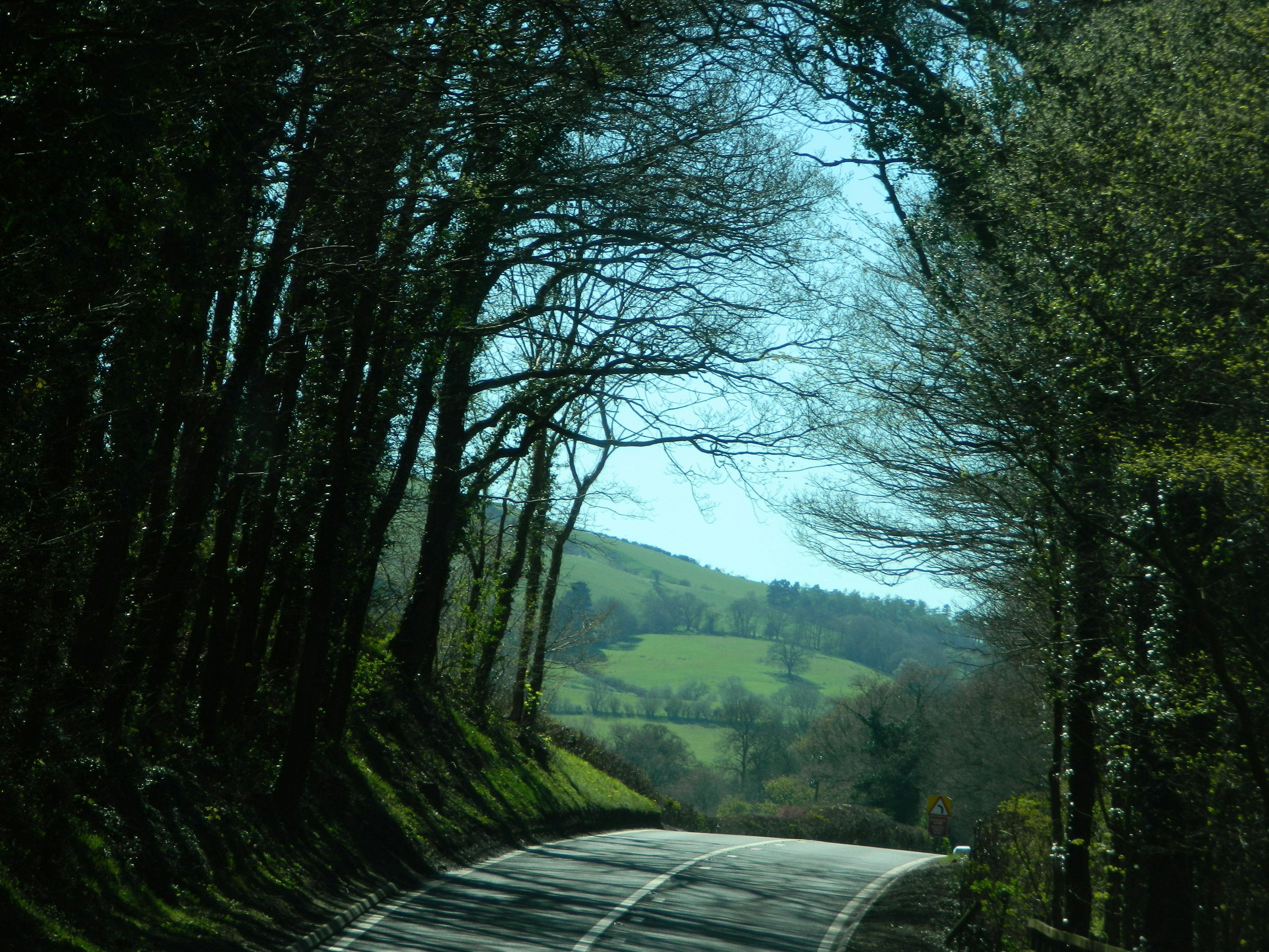a car driving down a road surrounded by trees